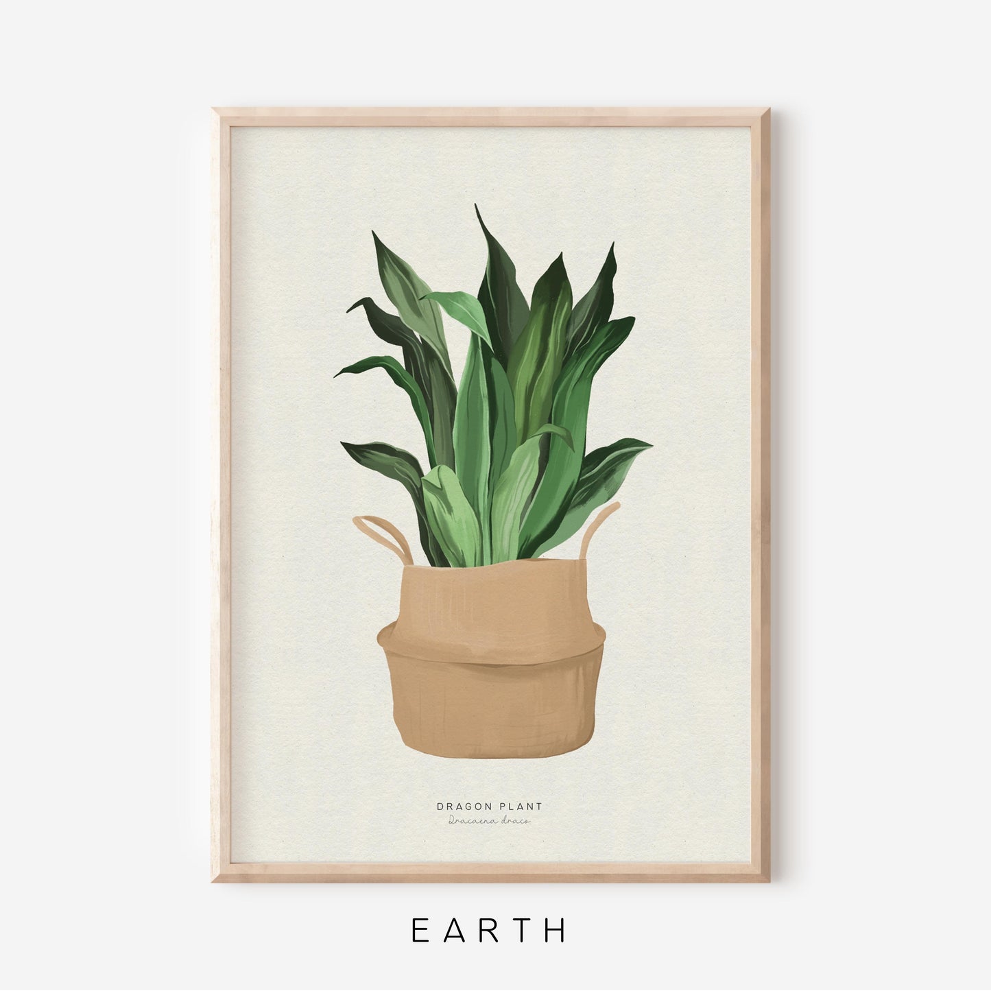 Houseplants - Dragon Plant | Art Print