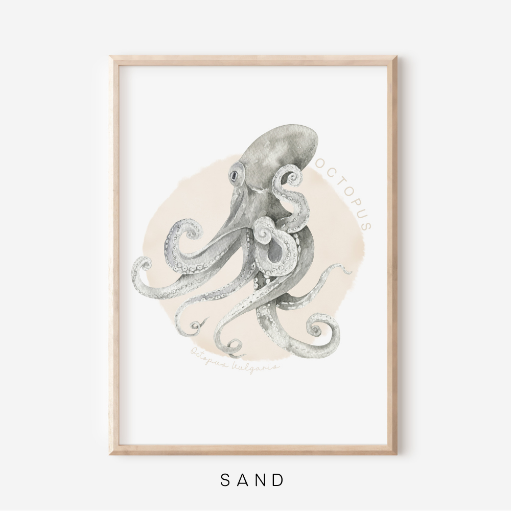 Ocean Life - Octopus | Art Print