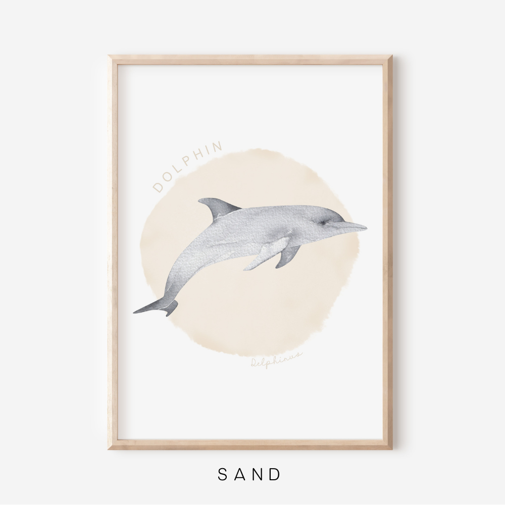 Ocean Life - Dolphin | Art Print