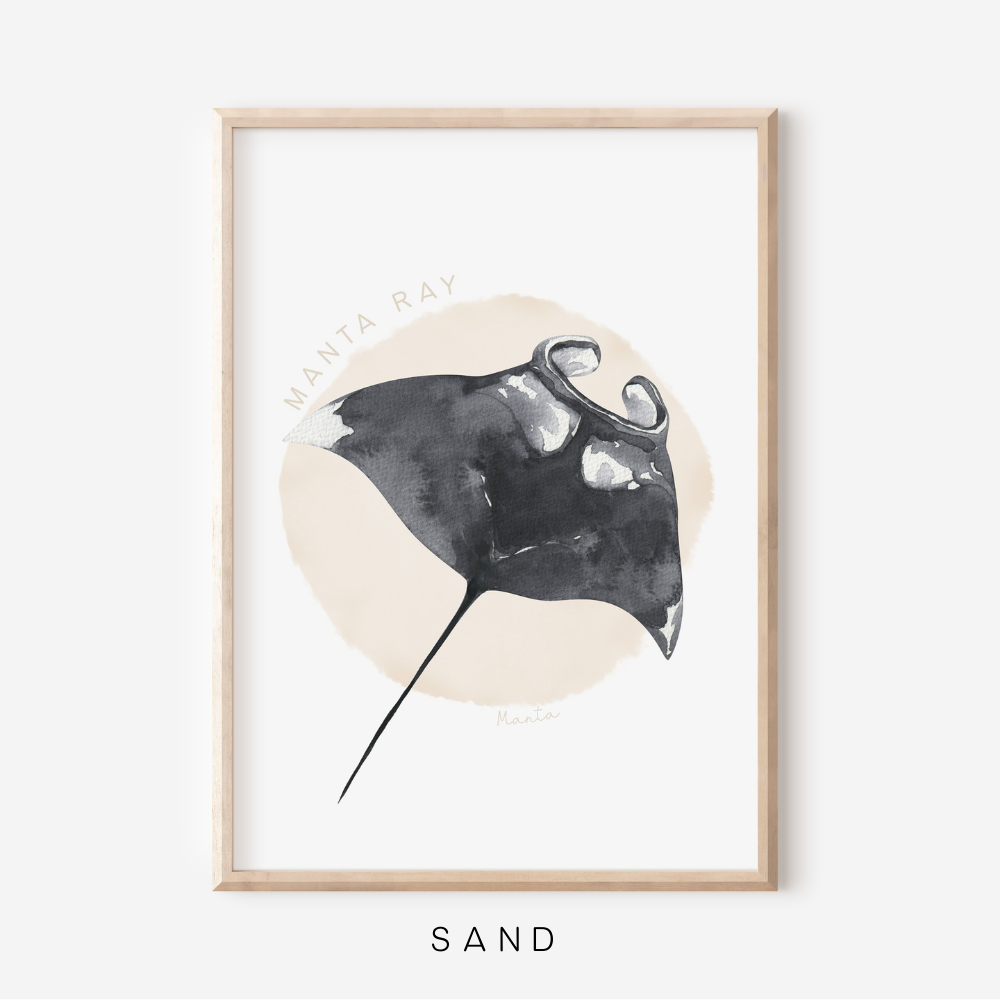 Ocean Life - Manta Ray | Art Print