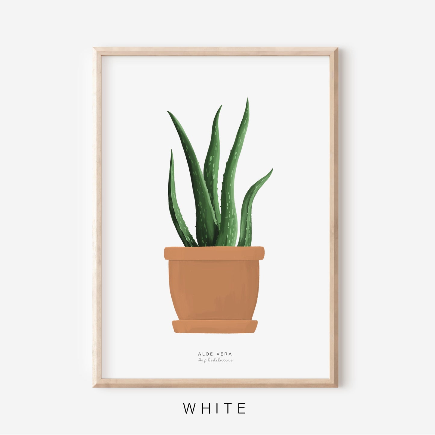 Houseplants - Aloe Vera | Art Print