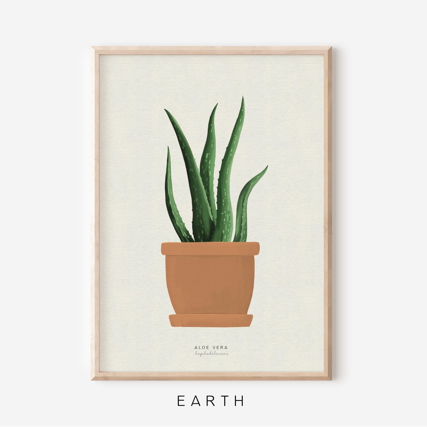 Houseplants - Aloe Vera | Art Print