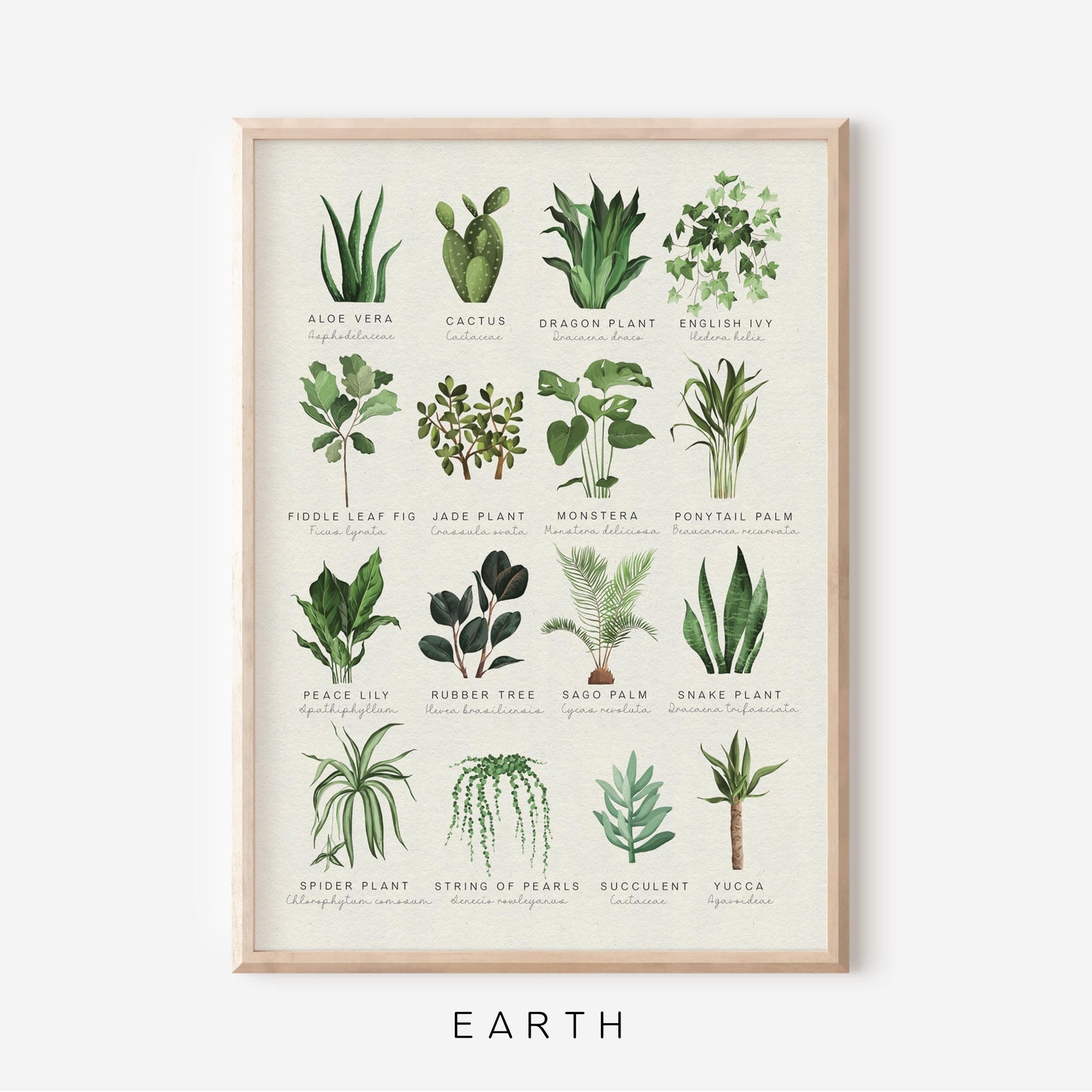 Houseplants | Art Print