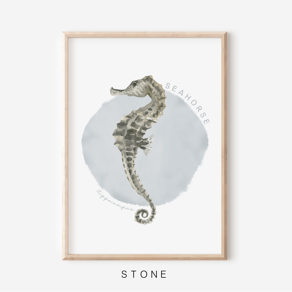 Ocean Life - Seahorse | Art Print