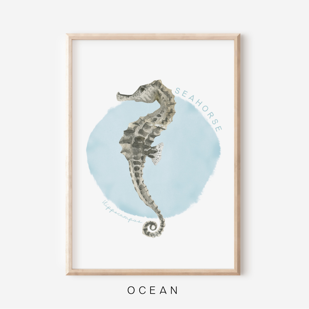 Ocean Life - Seahorse | Art Print