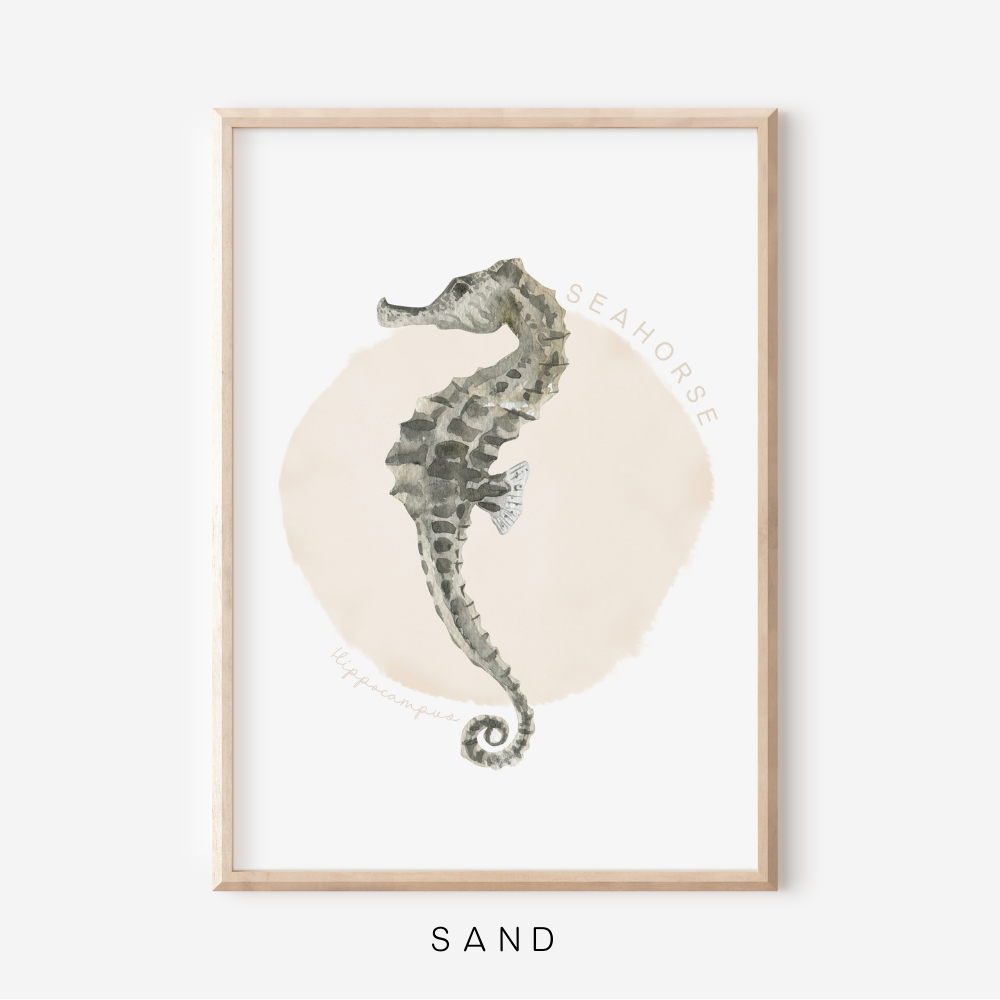 Ocean Life - Seahorse | Art Print