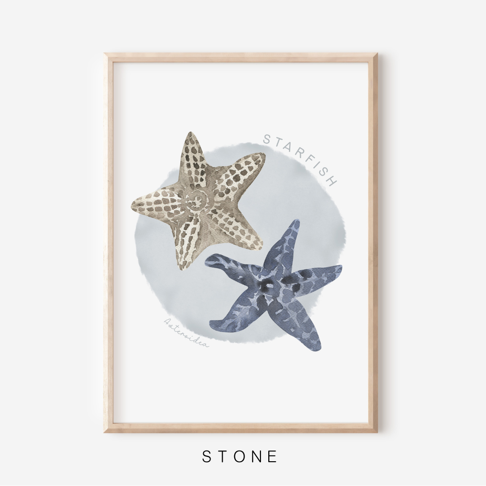 Ocean Life - Starfish | Art Print