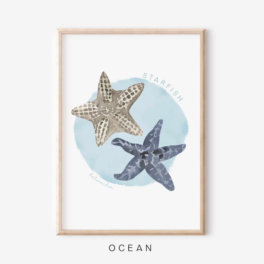 Ocean Life - Starfish | Art Print