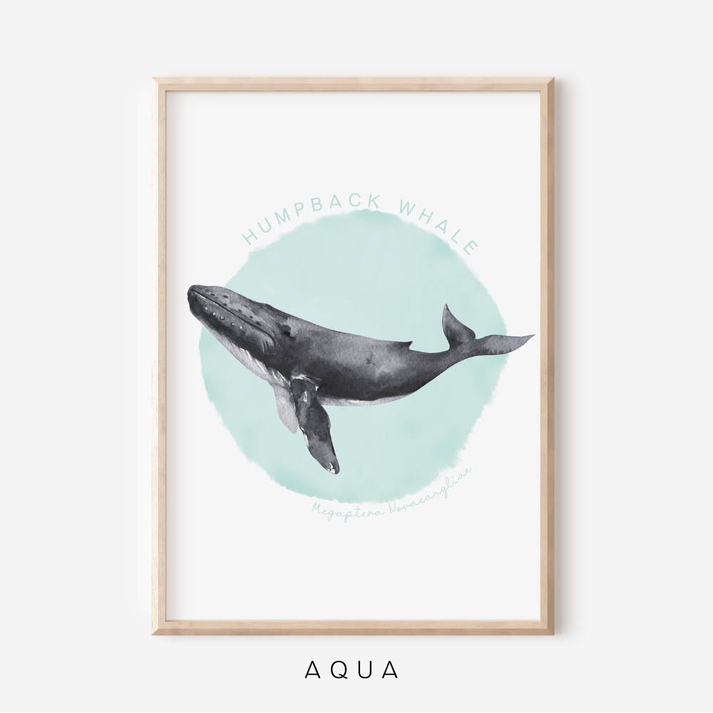 Ocean Life - Humpback Whale | Art Print