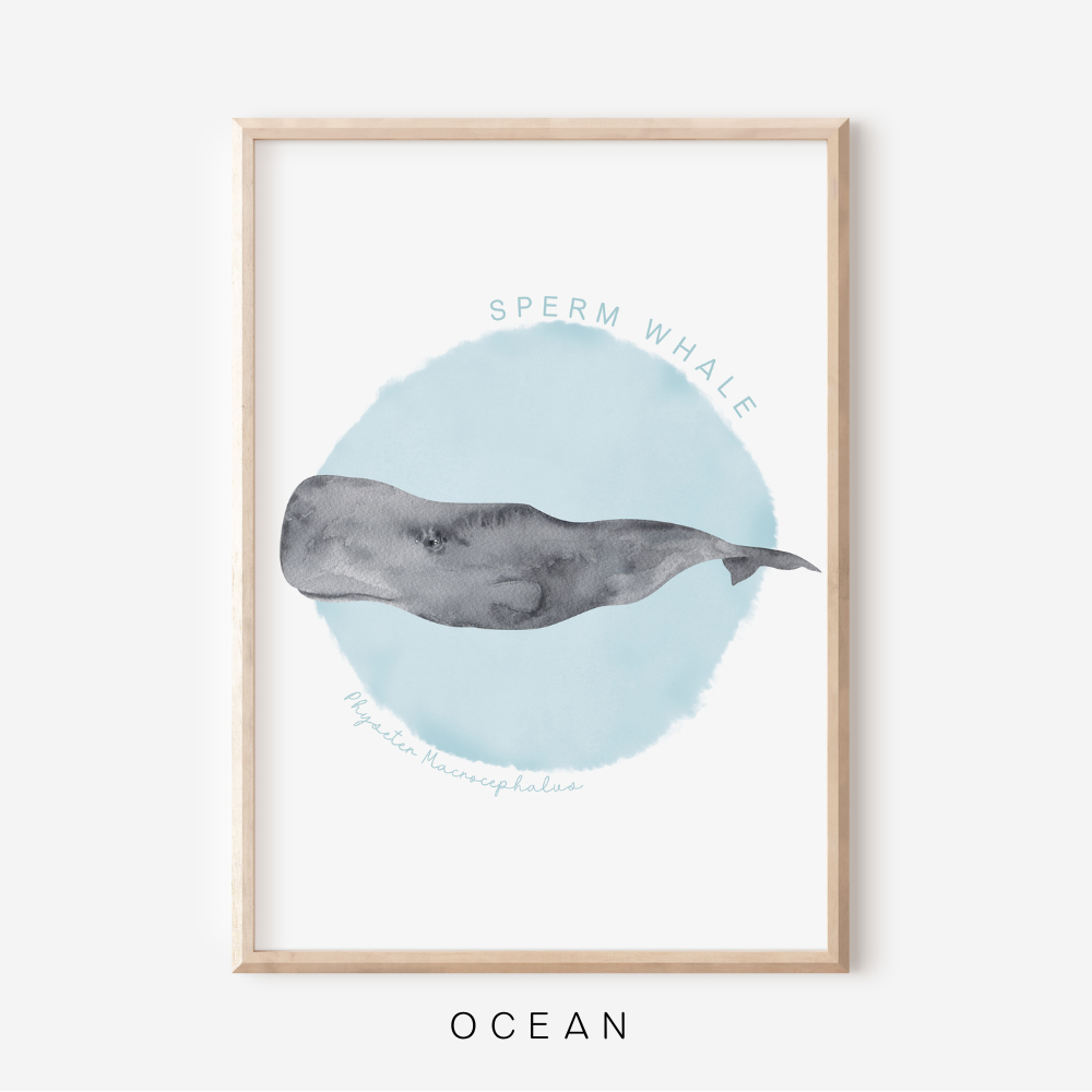 Ocean Life - Sperm Whale | Art Print