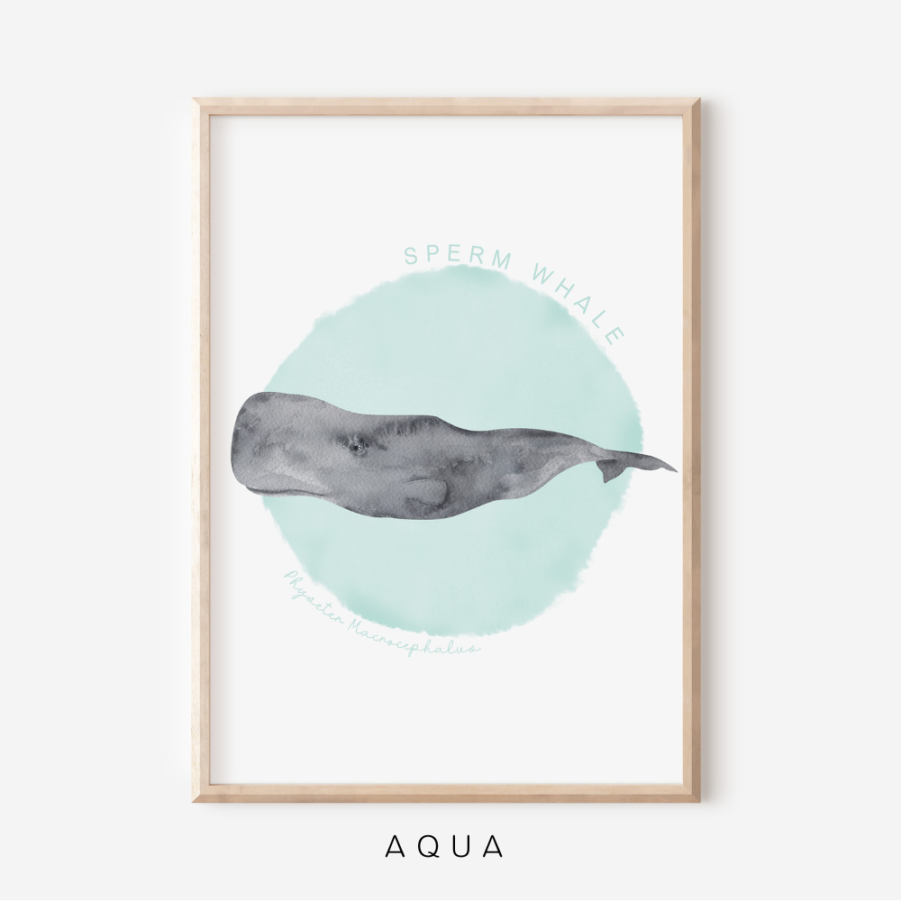 Ocean Life - Sperm Whale | Art Print