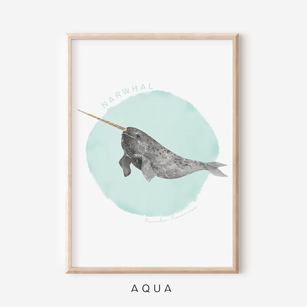 Ocean Life - Narwhal | Art Print
