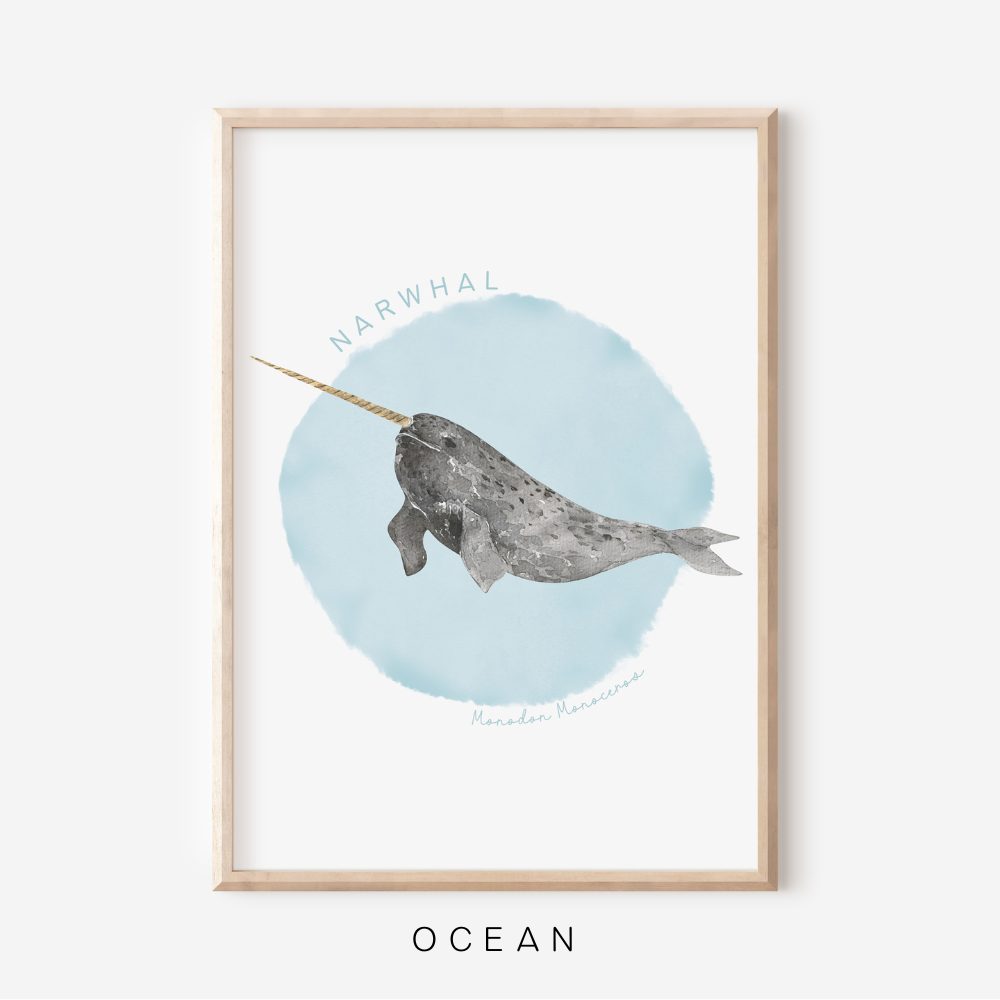 Ocean Life - Narwhal | Art Print