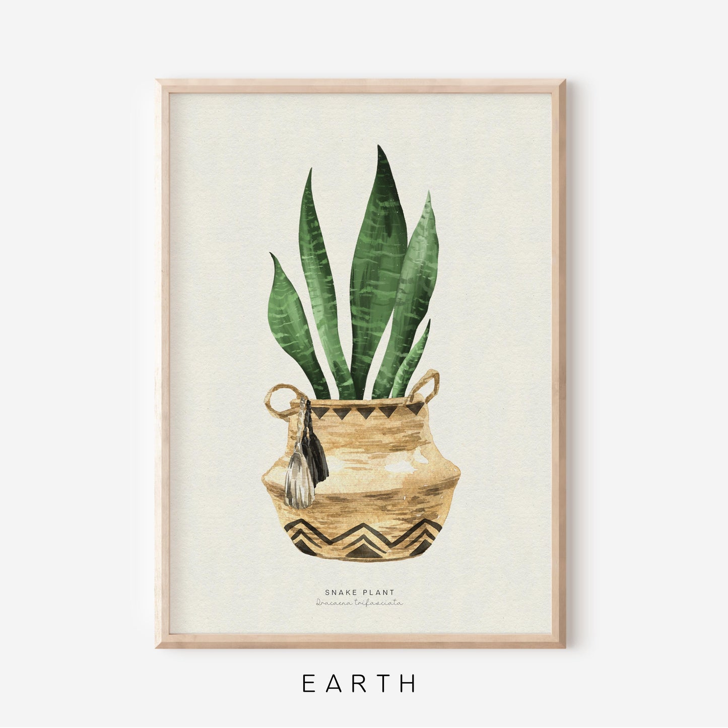 Houseplants - Snake Plant | Art Print
