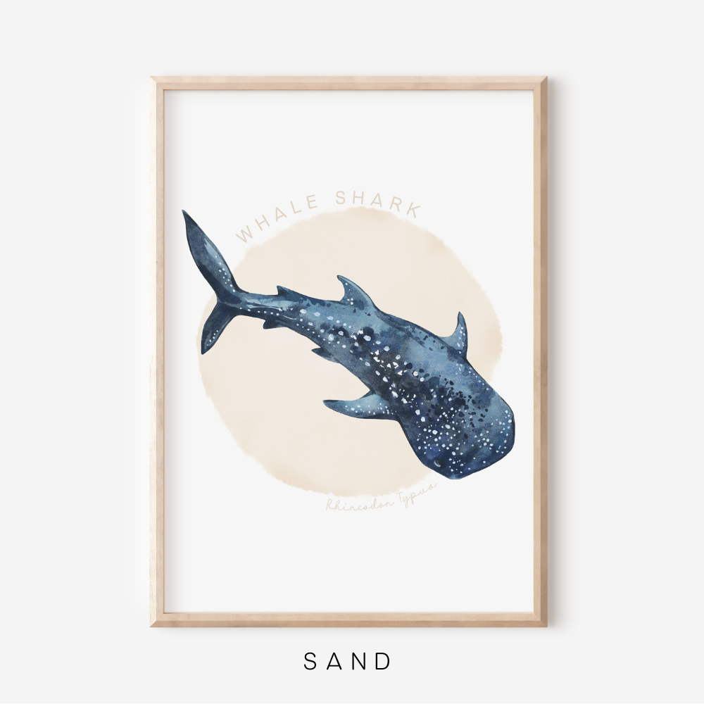 Ocean Life - Whale Shark | Art Print