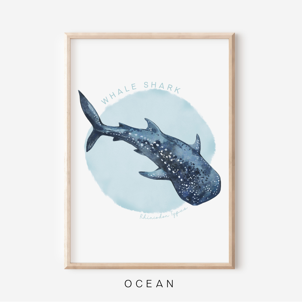 Ocean Life - Whale Shark | Art Print