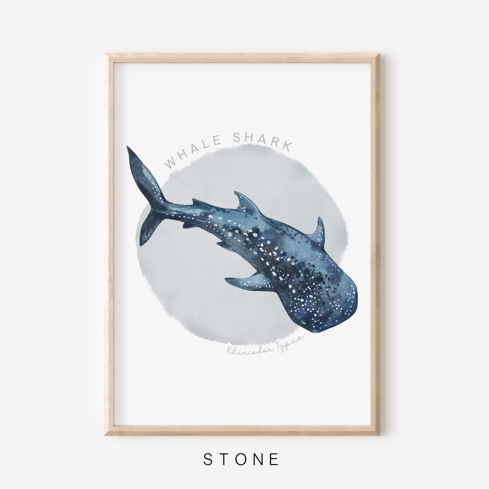 Ocean Life - Whale Shark | Art Print