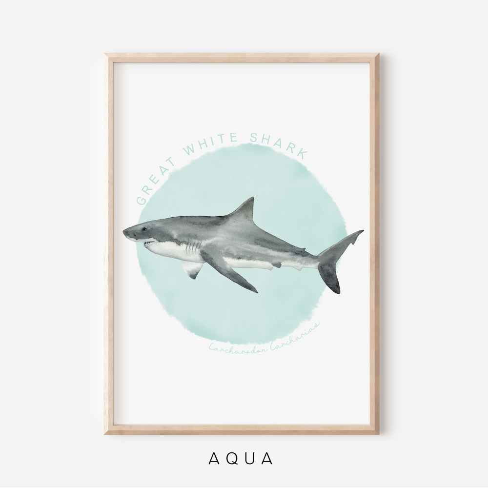 Ocean Life - Great White Shark | Art Print
