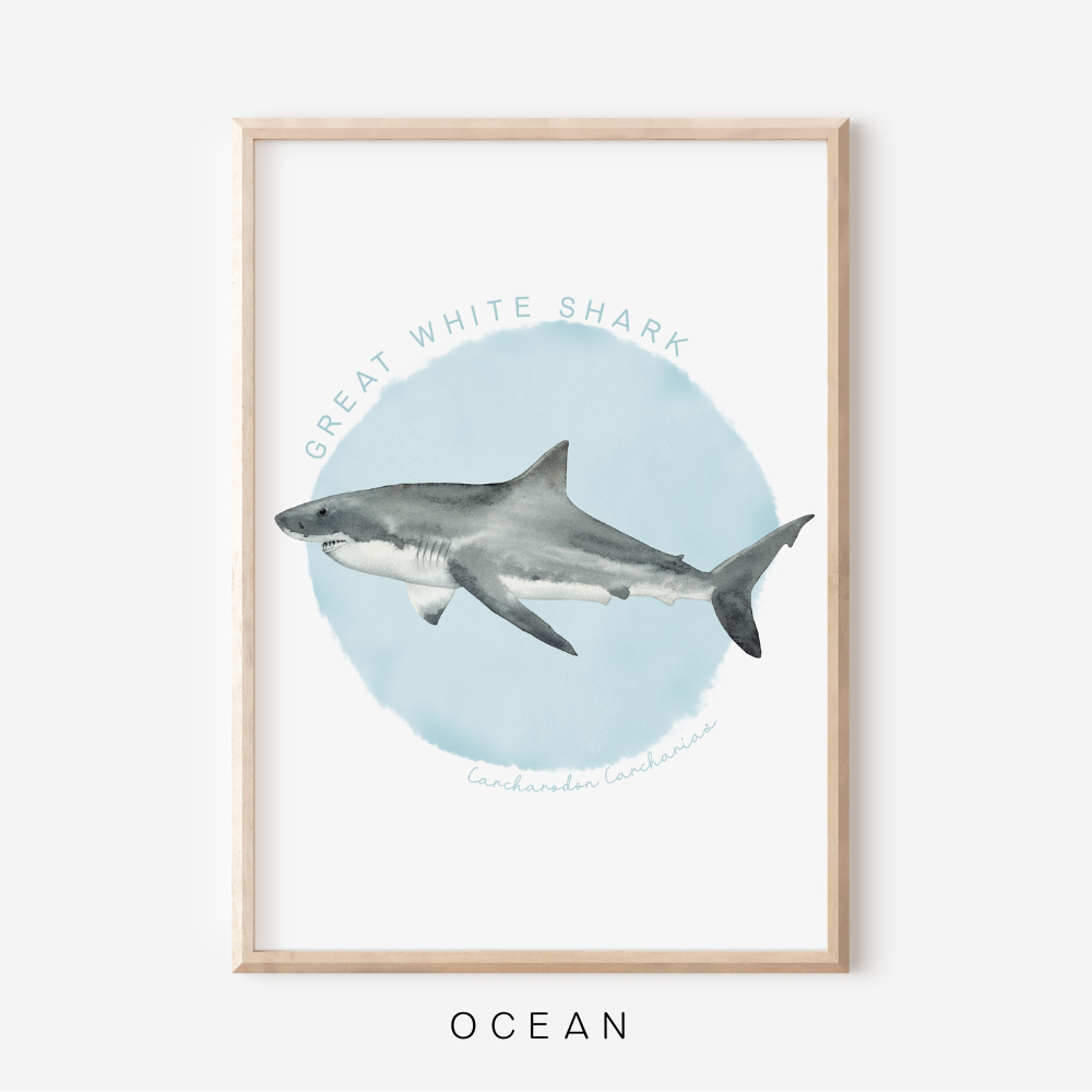 Ocean Life - Great White Shark | Art Print