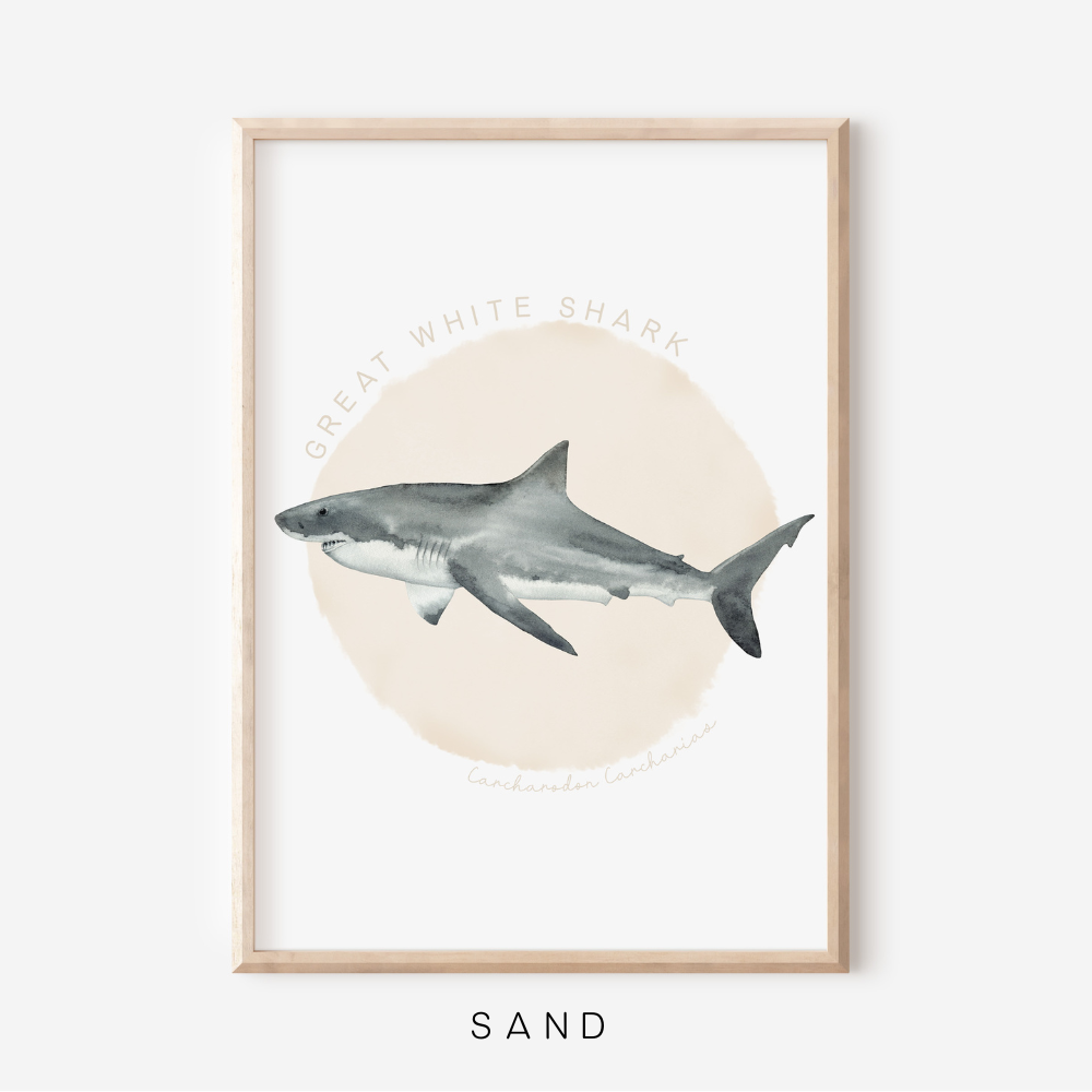 Ocean Life - Great White Shark | Art Print