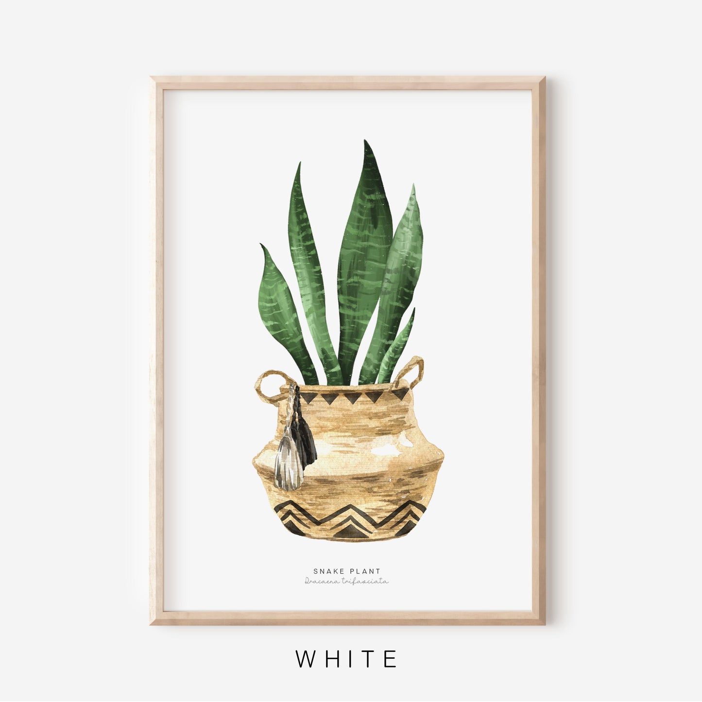 Houseplants - Snake Plant | Art Print