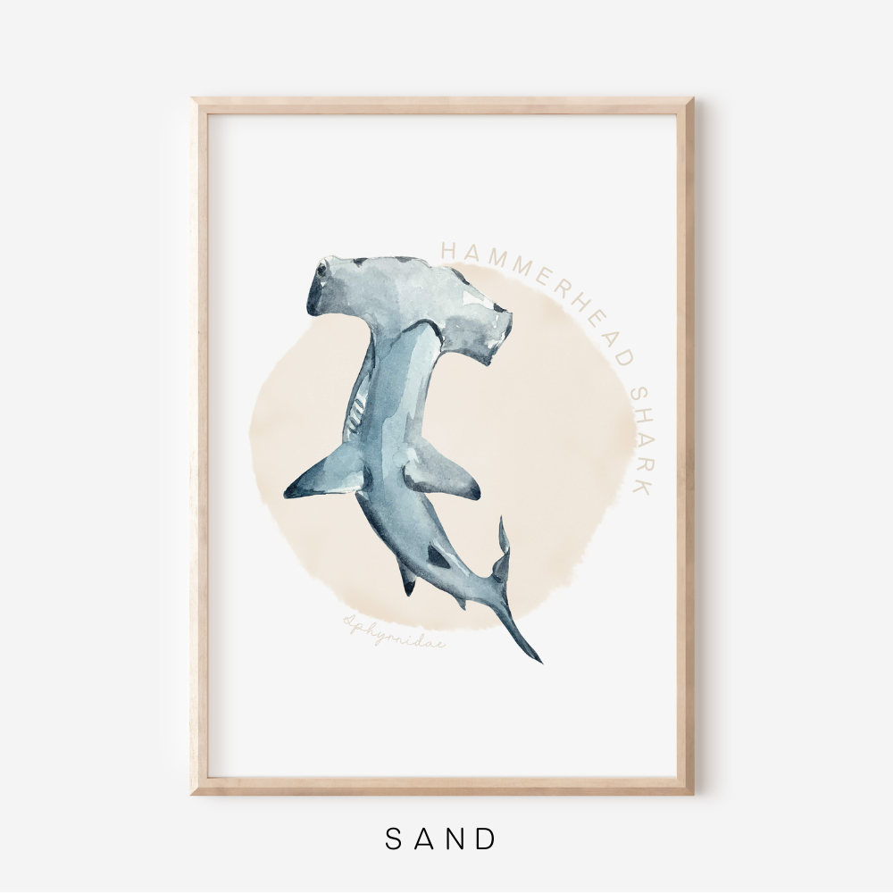 Ocean Life - Hammerhead Shark | Art Print