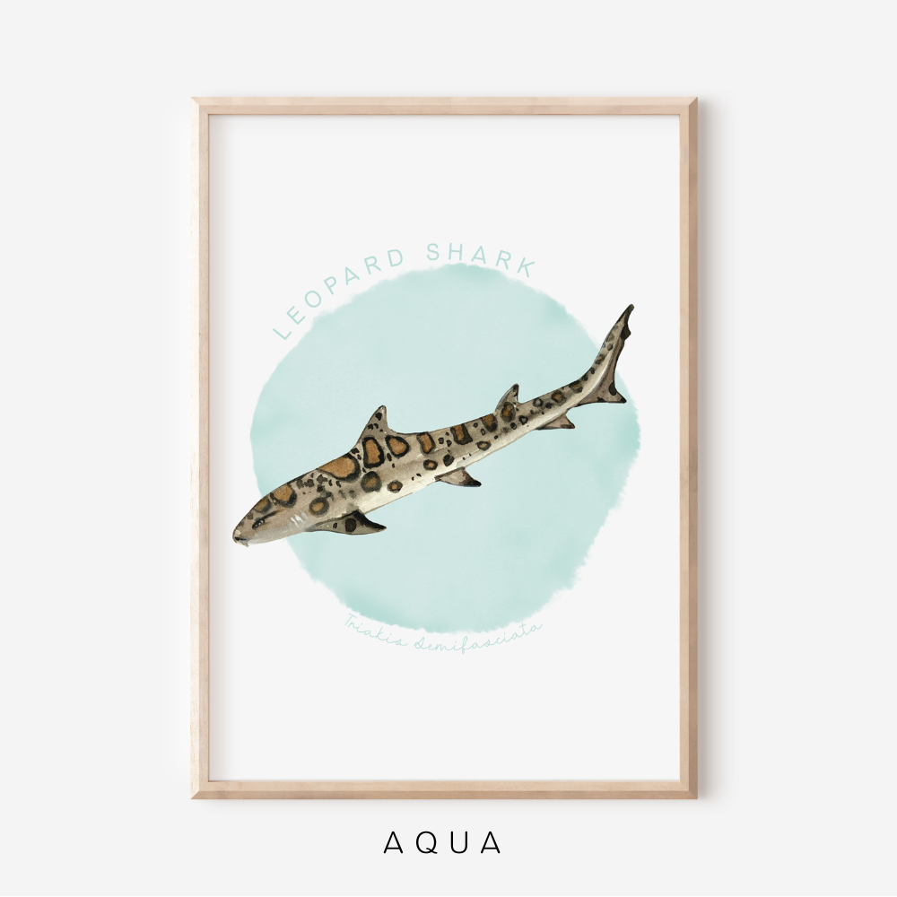 Ocean Life - Leopard Shark | Art Print