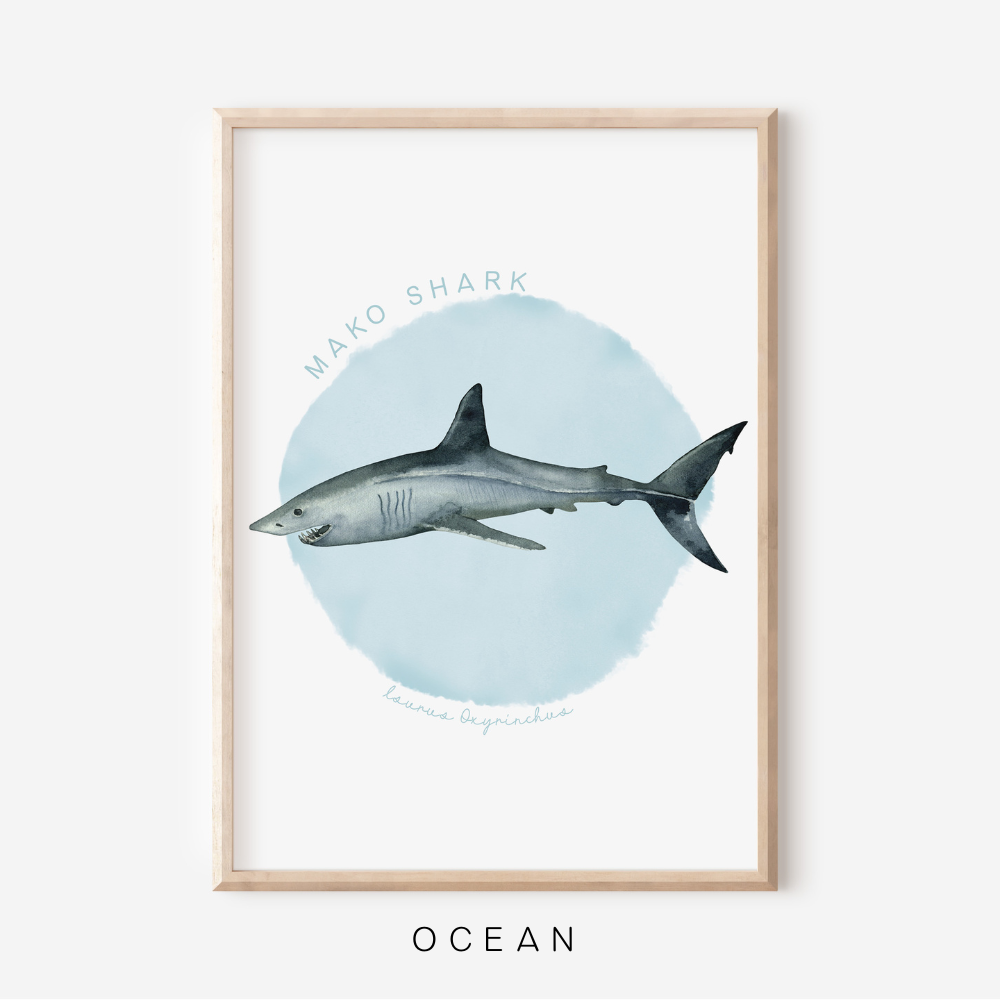 Ocean Life - Mako Shark | Art Print