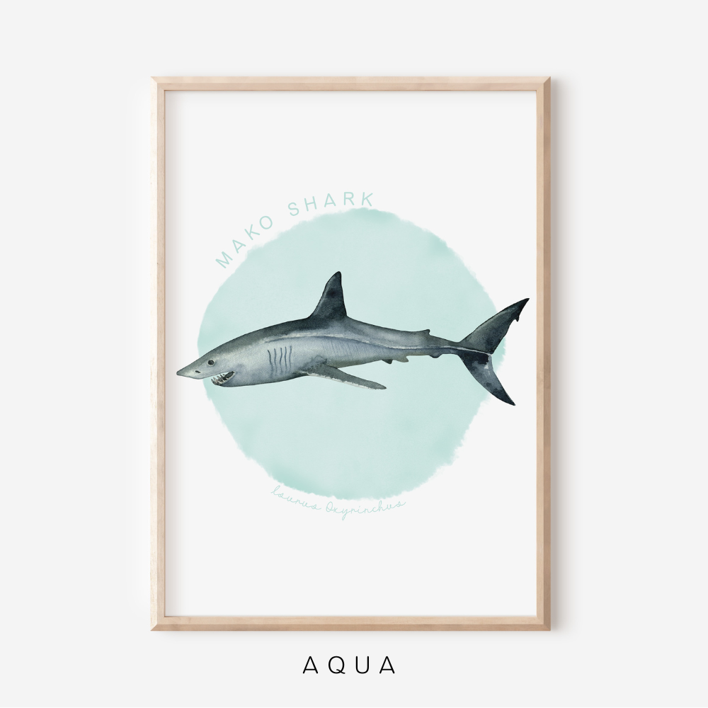 Ocean Life - Mako Shark | Art Print