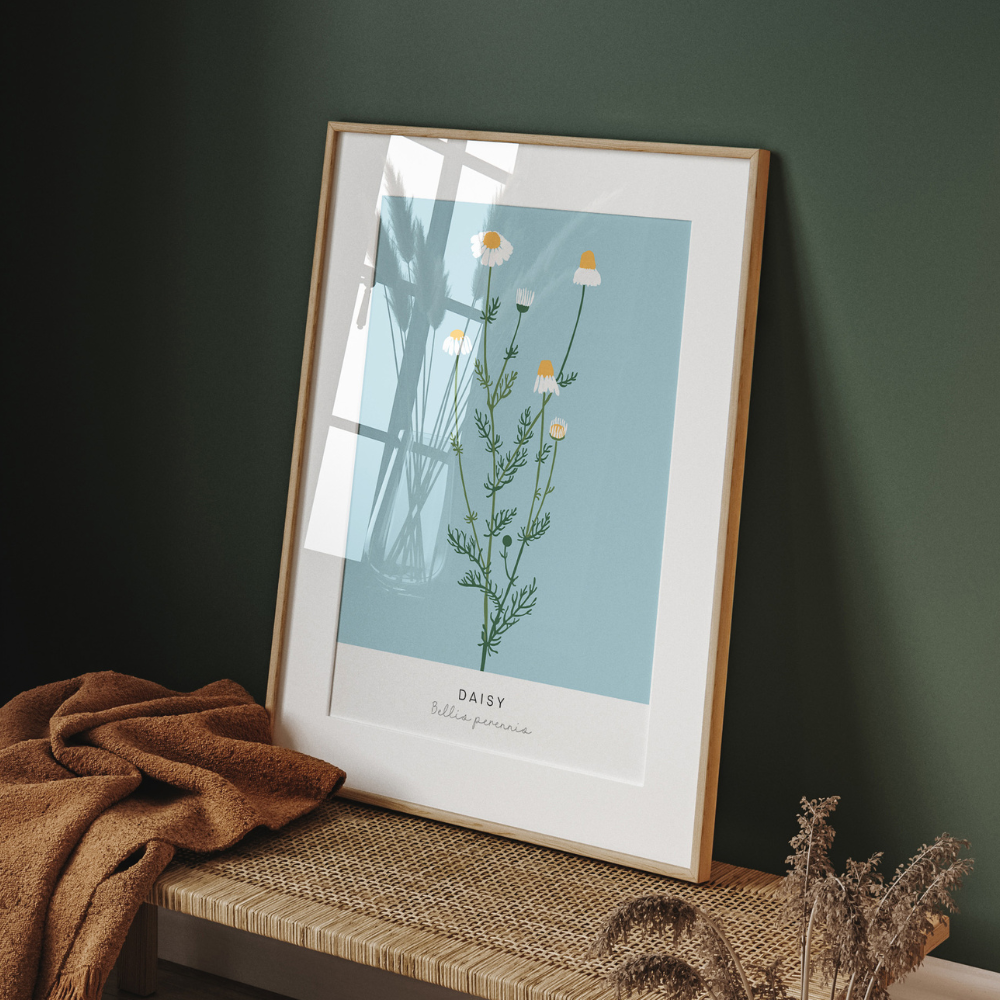 Bellis Perennis | Art Print