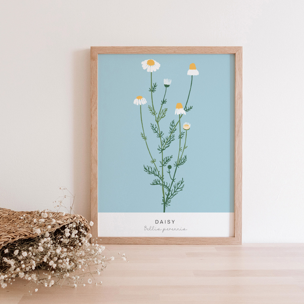 Bellis Perennis | Art Print