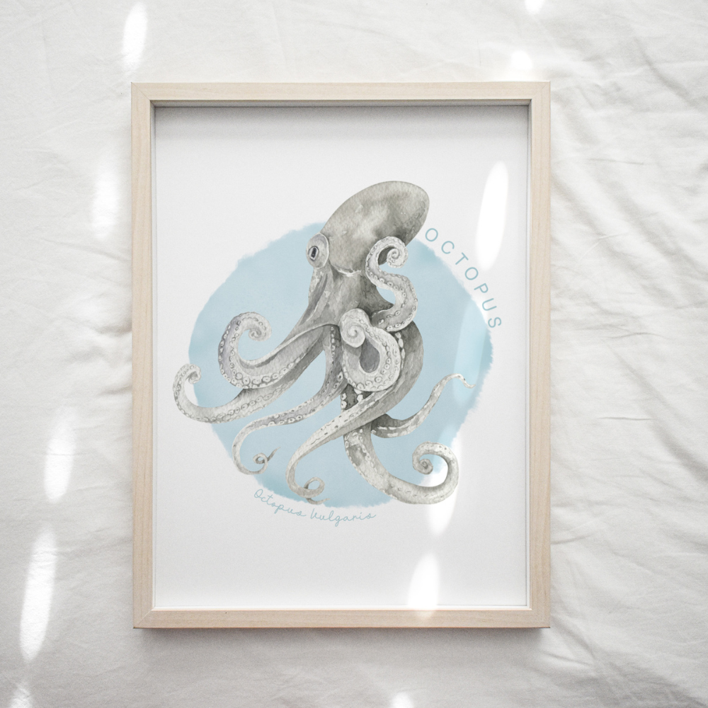 Ocean Life - Octopus | Art Print