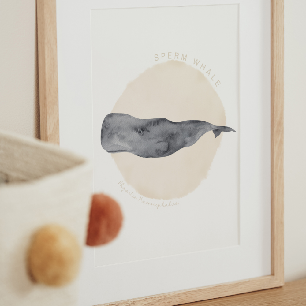 Ocean Life - Sperm Whale | Art Print