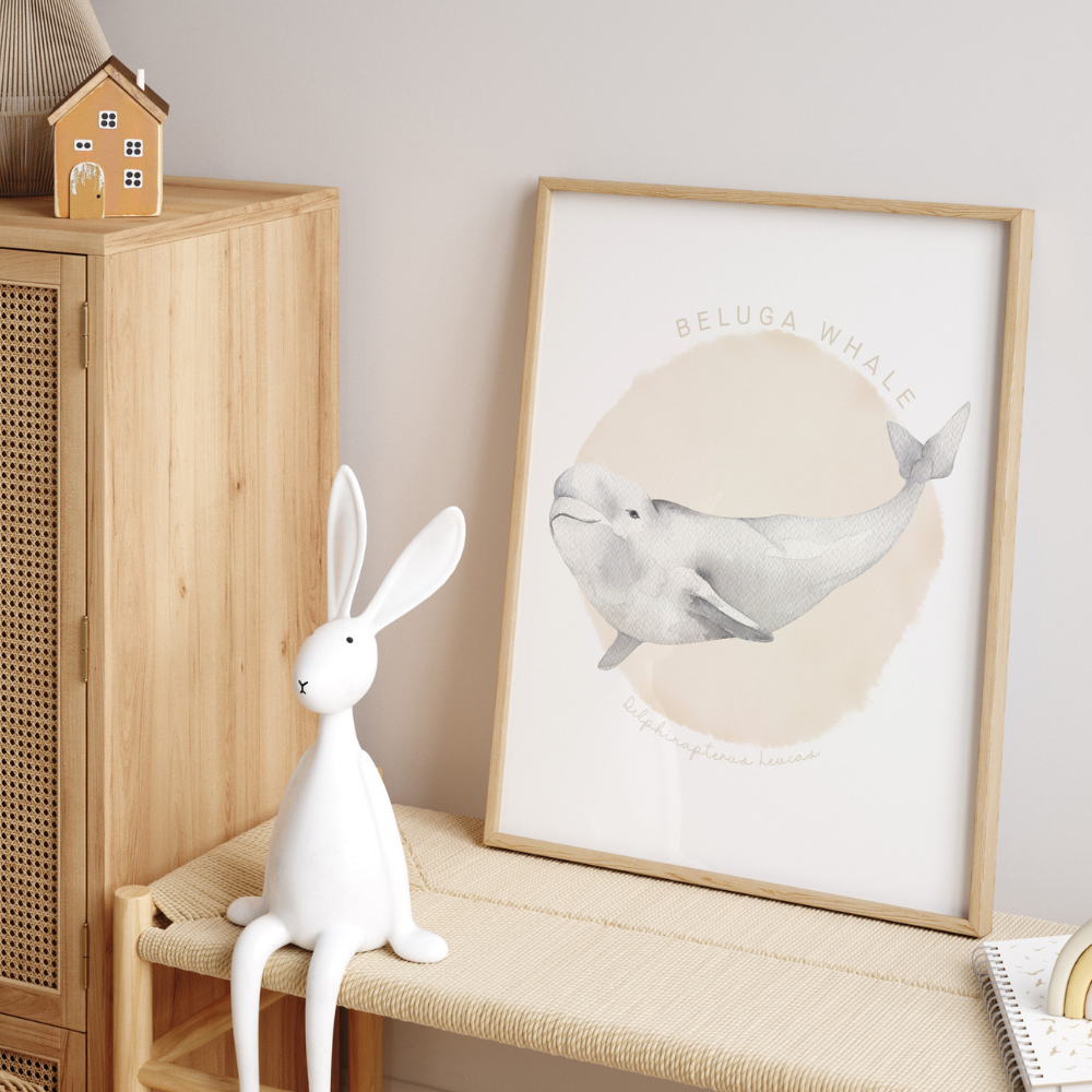 Ocean Life - Beluga Whale | Art Print