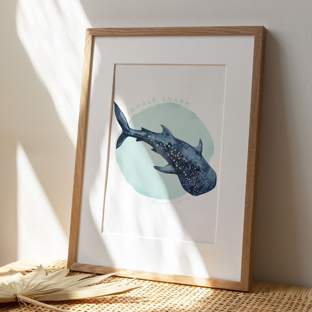 Ocean Life - Whale Shark | Art Print