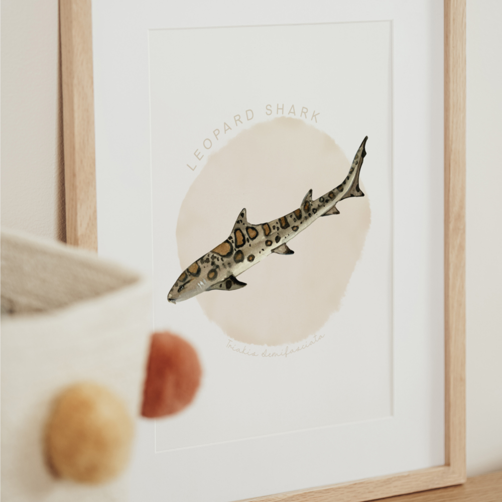 Ocean Life - Leopard Shark | Art Print