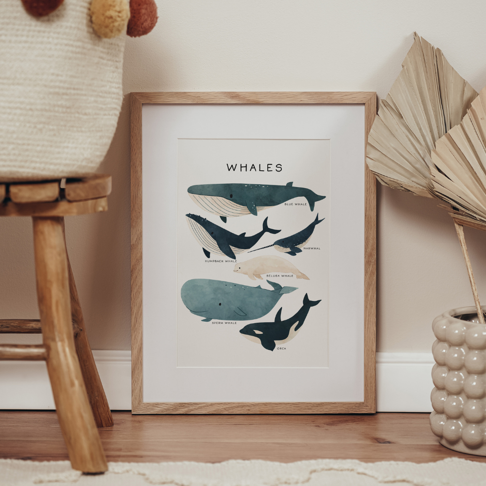 Under The Sea - Whales | Art Print
