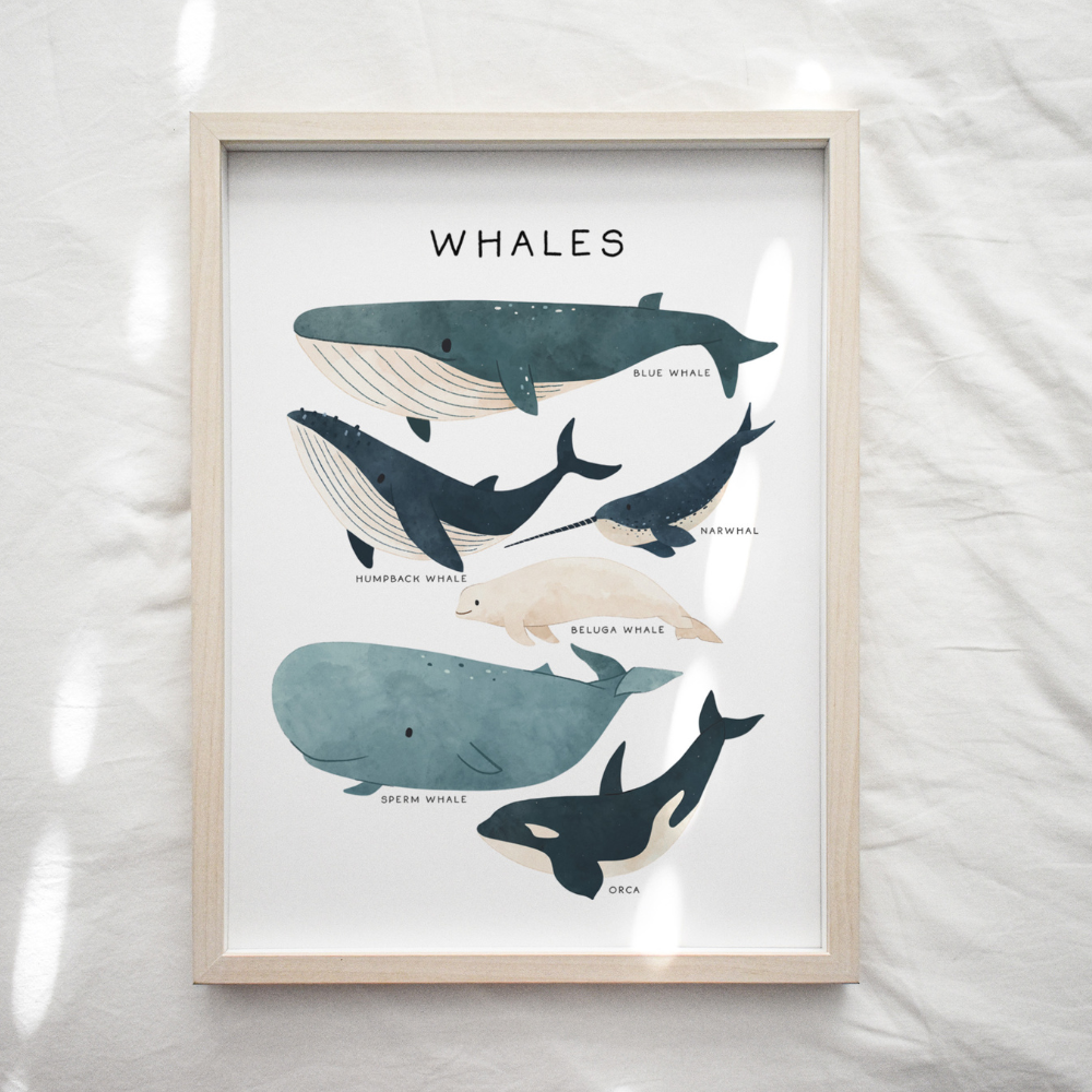 Under The Sea - Whales | Art Print