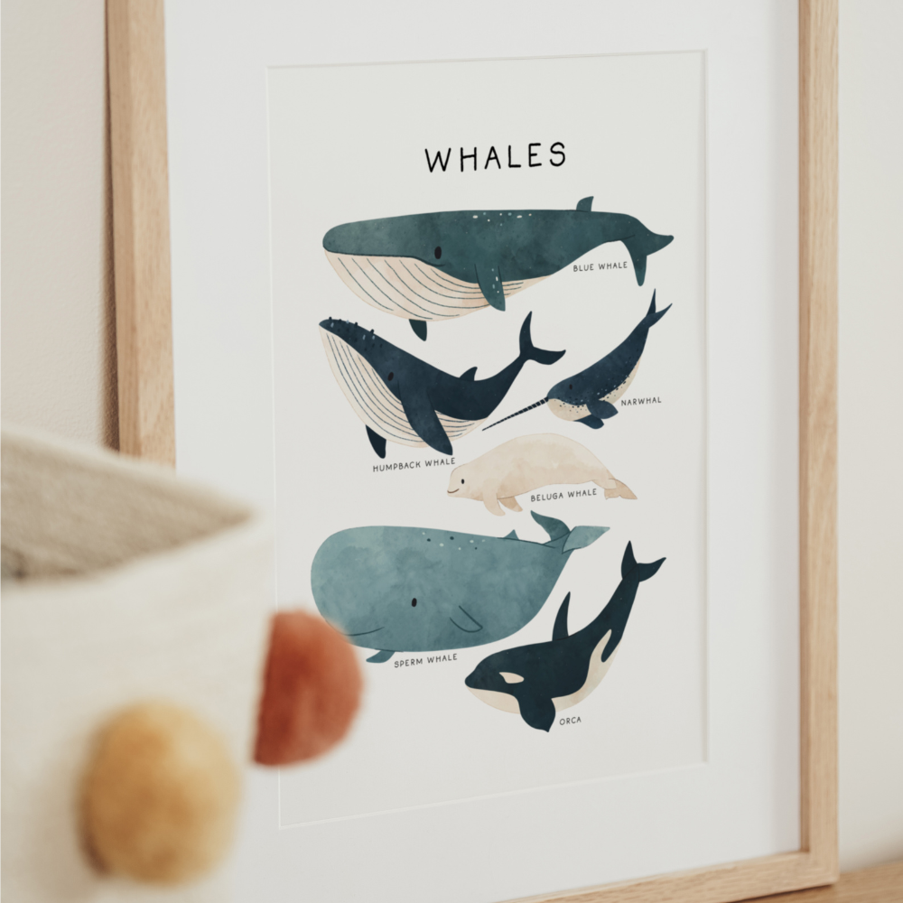 Under The Sea - Whales | Art Print