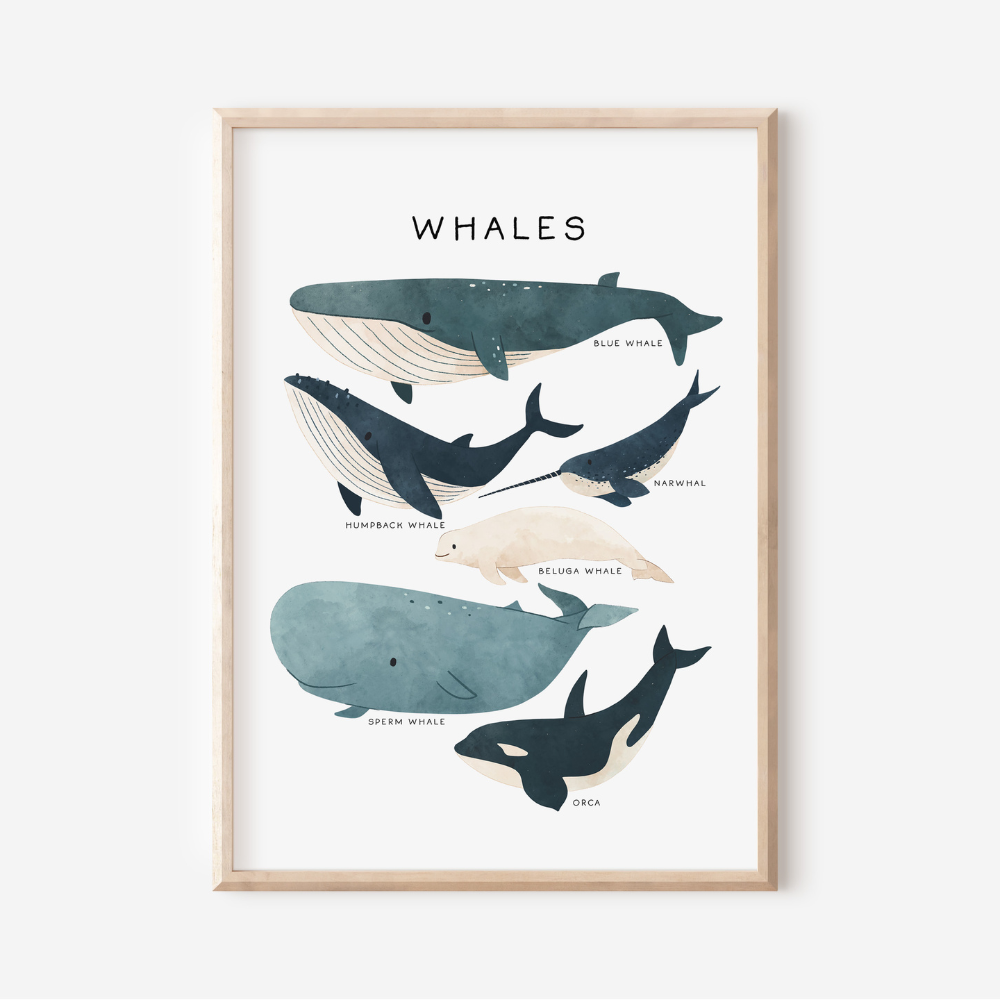 Under The Sea - Whales | Art Print