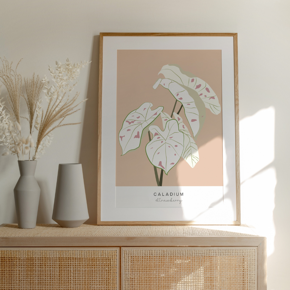 Caladium Strawberry | Art Print