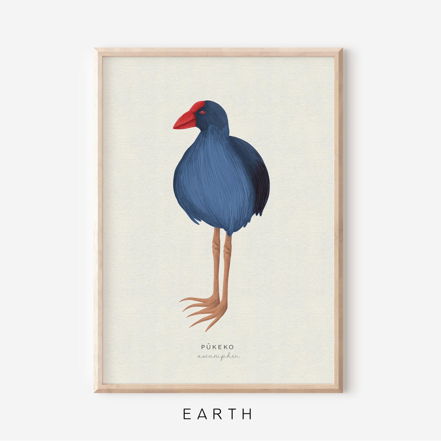 New Zealand Bird - Pukeko | Art Print