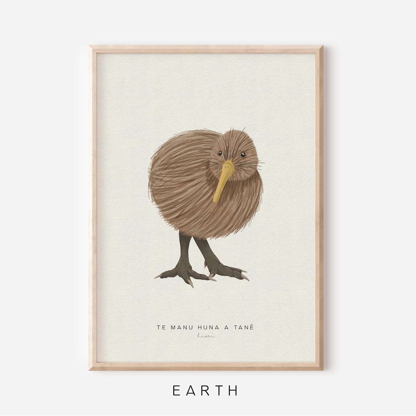 New Zealand Bird - Kiwi | Art Print