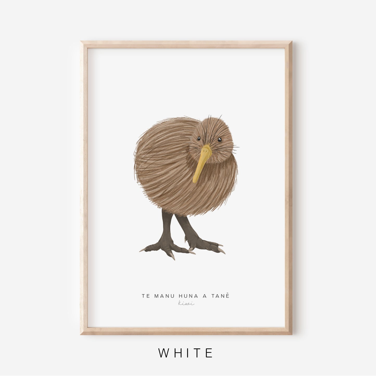 New Zealand Bird - Kiwi | Art Print