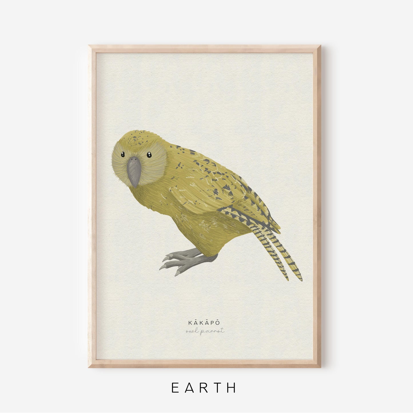 New Zealand Bird - Kakapo | Art Print