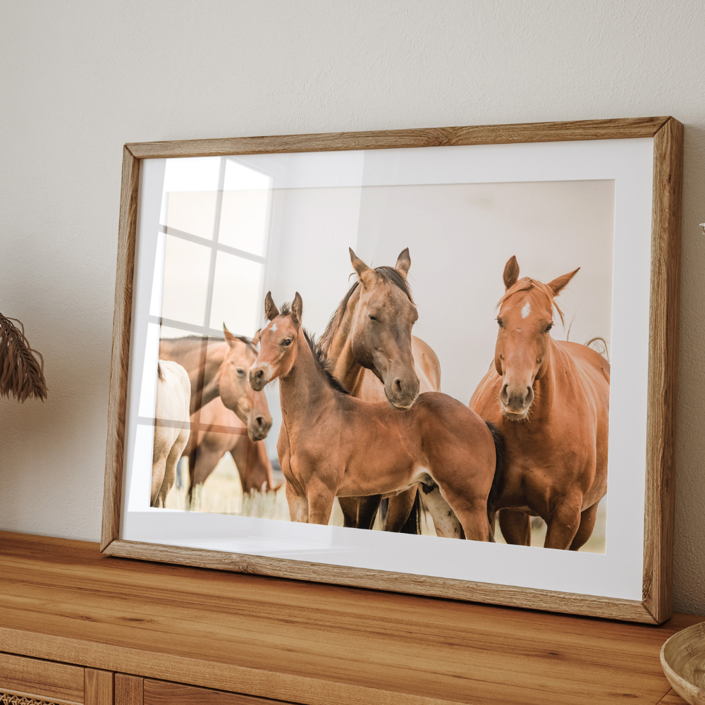Wild Horses | Photography Art Print