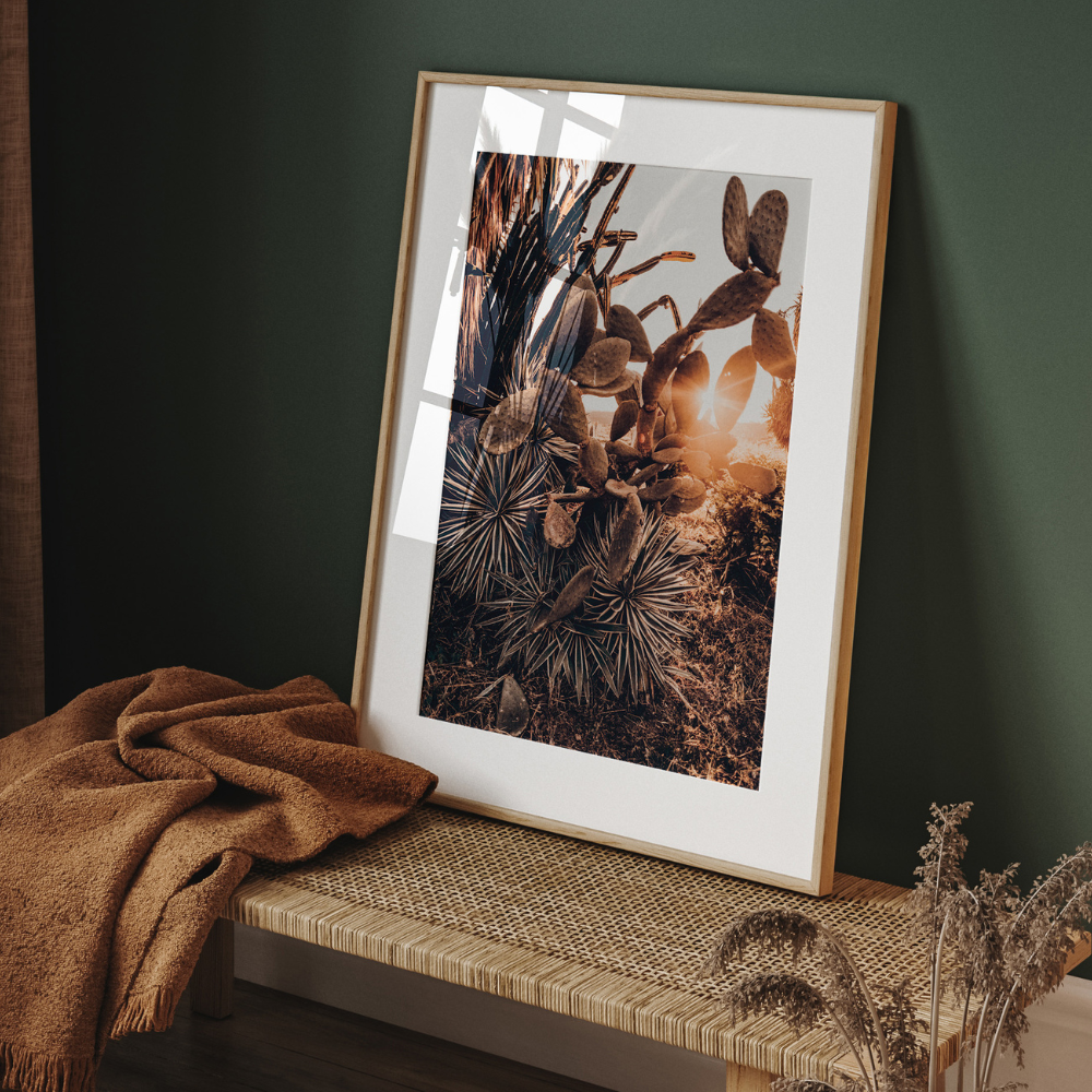 Cactus Sunset | Photography Art Print