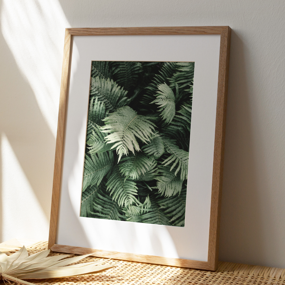 Fern | Photography Art Print