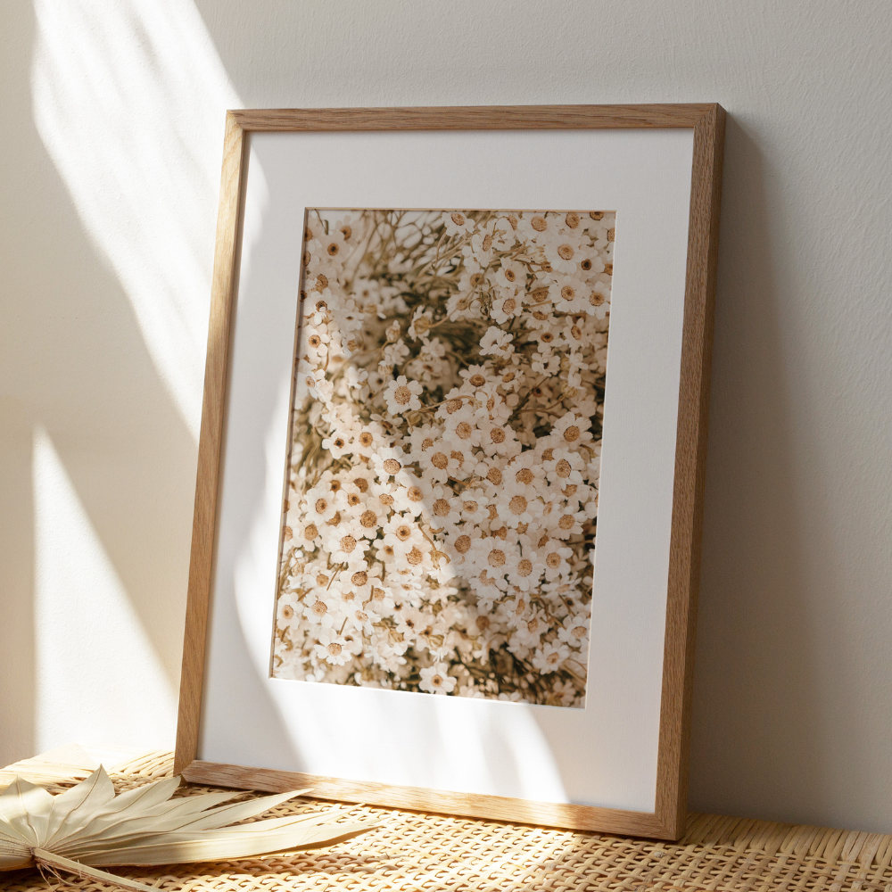 Field of Daisies | Photography Art Print
