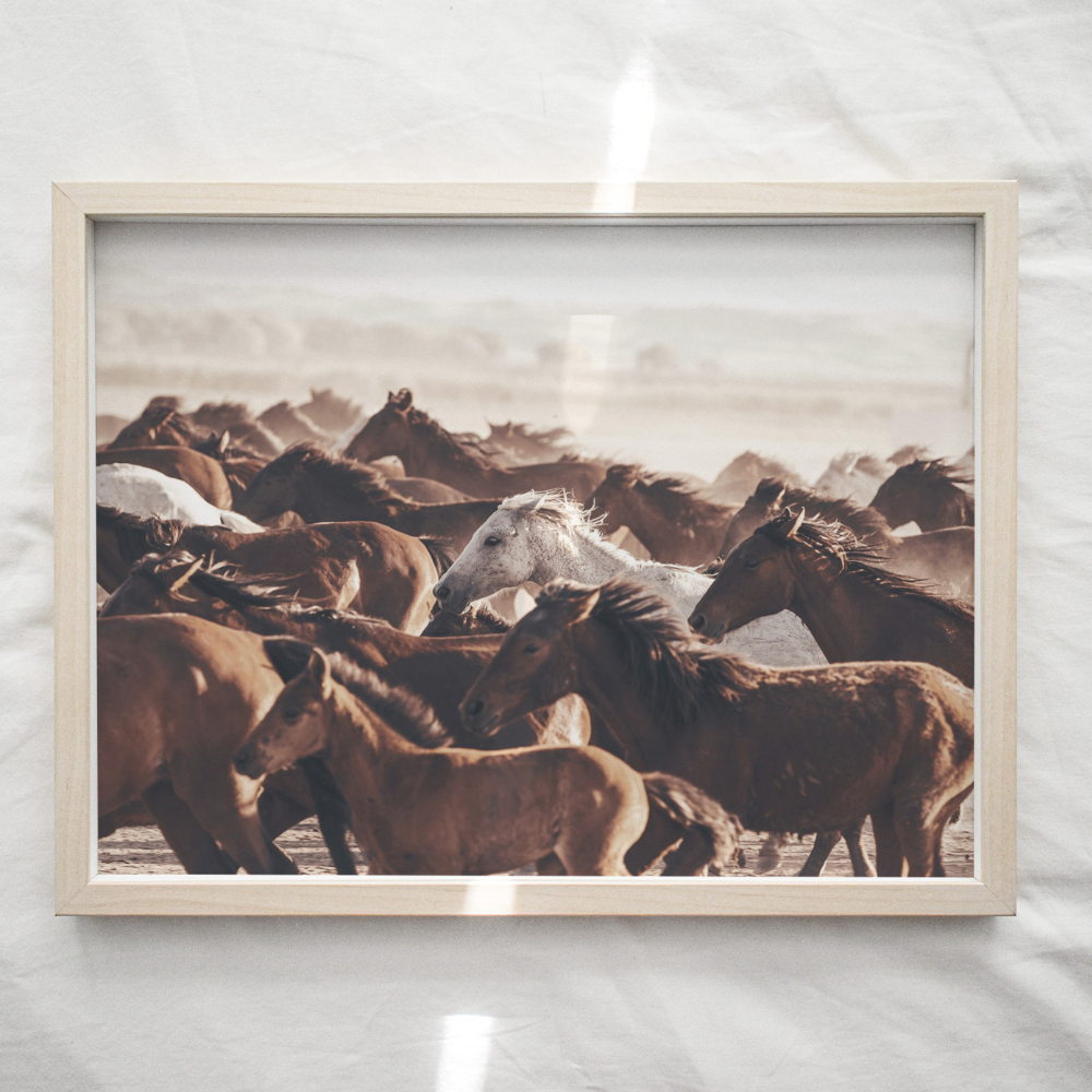 Running Wild | Photography Art Print